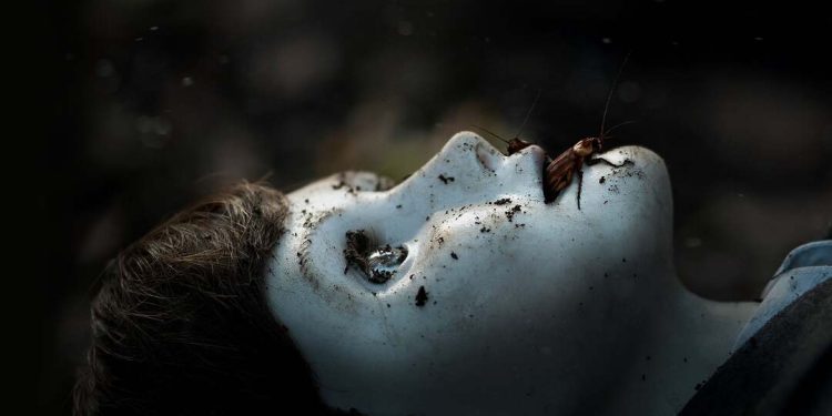 brahms the boy ii 2020 poster 1