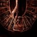 The Unforeseen: A Review of Tarot 2024 – A Macabre Game with Death