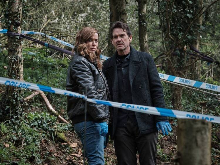 Mainstream and cult classic TV shows