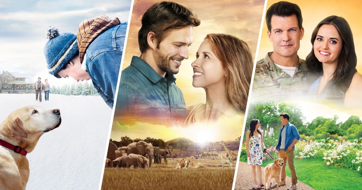 Heartwarming Hallmark movies about animals